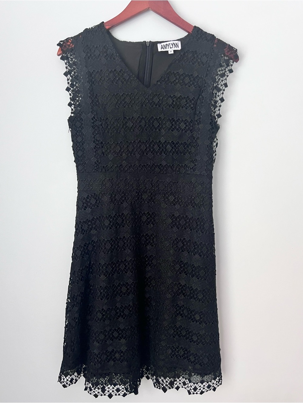 AMYLYNN Black Lace V-Neck Mini Dress